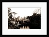 Sebastian Creek, Jackson, Steamboats, Streams, United States, Florida, Indian River, 1880 by William Henry