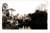 Sebastian Creek, Jackson, Steamboats, Streams, United States, Florida, Indian River, 1880 by William Henry