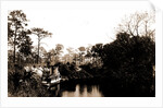 Sebastian Creek, Jackson, Steamboats, Streams, United States, Florida, Indian River, 1880 by William Henry