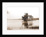 Lake Louise near Seville, Fla, Jackson, Islands, Lakes & ponds, United States, Florida, Louise, Lake, United States, Florida, Seville, 1880 by William Henry