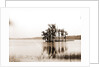 Lake Louise near Seville, Fla, Jackson, Islands, Lakes & ponds, United States, Florida, Louise, Lake, United States, Florida, Seville, 1880 by William Henry