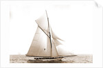 Gossoon, July 10, 1890, Gossoon (Sloop), 1890 by Anonymous