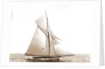 Gossoon, July 10, 1890, Gossoon (Sloop), 1890 by Anonymous