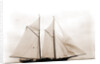 Columbia (Schooner), 1890 by Anonymous