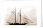 Columbia (Schooner), 1890 by Anonymous