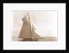 Gloriana (Yacht) by Anonymous
