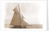 Gloriana (Yacht) by Anonymous