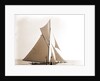 Gloriana, June 23, 1891, Gloriana (Yacht) by Anonymous