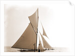 Gloriana, June 23, 1891, Gloriana (Yacht) by Anonymous