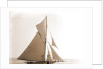 Gloriana, June 23, 1891, Gloriana (Yacht) by Anonymous