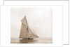 Sayonara (Yacht) by Anonymous