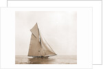 Sayonara (Yacht) by Anonymous