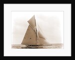 Beatrix, Harpoon (Yacht) by Anonymous