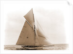 Beatrix, Harpoon (Yacht) by Anonymous