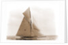 Beatrix, Harpoon (Yacht) by Anonymous