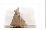 Beatrix, Harpoon (Yacht) by Anonymous