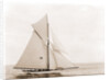 Thelma (Yacht) by Anonymous