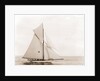 Thelma (Yacht) by Anonymous