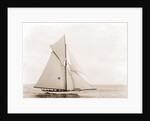 Thelma (Yacht) by Anonymous