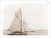 Thelma (Yacht) by Anonymous