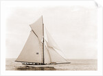 Thelma (Yacht) by Anonymous