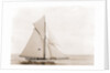 Thelma (Yacht) by Anonymous