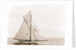 Thelma (Yacht) by Anonymous