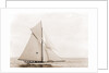 Thelma (Yacht) by Anonymous