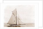 Thelma (Yacht) by Anonymous