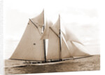 Mayflower (Schooner), 1891 by Anonymous