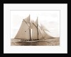 Mayflower (Schooner), 1891 by Anonymous