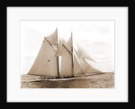 Mayflower (Schooner), 1891 by Anonymous