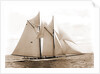Mayflower (Schooner), 1891 by Anonymous