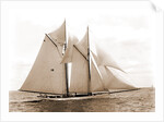 Mayflower (Schooner), 1891 by Anonymous