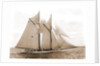 Mayflower (Schooner), 1891 by Anonymous