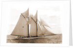 Mayflower (Schooner), 1891 by Anonymous