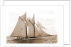 Mayflower (Schooner), 1891 by Anonymous