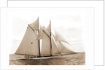 Mayflower (Schooner), 1891 by Anonymous
