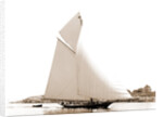 Barbara (Yacht) by Anonymous
