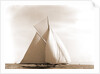 Alborak (Sloop), 1891 by Anonymous