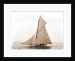Beatrix, Harpoon (Yacht) by Anonymous