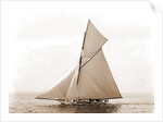 Beatrix, Harpoon (Yacht) by Anonymous