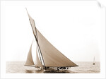 Beatrix, Harpoon (Yacht) by Anonymous