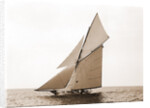 Gloriana, Goelet Cup Race, Gloriana (Yacht) by Anonymous