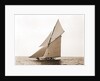Gloriana, Goelet Cup Race, Gloriana (Yacht) by Anonymous