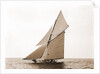 Gloriana, Goelet Cup Race, Gloriana (Yacht) by Anonymous