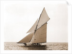 Gloriana, Goelet Cup Race, Gloriana (Yacht) by Anonymous