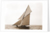 Gloriana, Goelet Cup Race, Gloriana (Yacht) by Anonymous