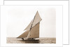 Gloriana, Goelet Cup Race, Gloriana (Yacht) by Anonymous
