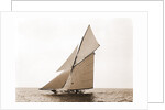 Gloriana, Goelet Cup Race, Gloriana (Yacht) by Anonymous